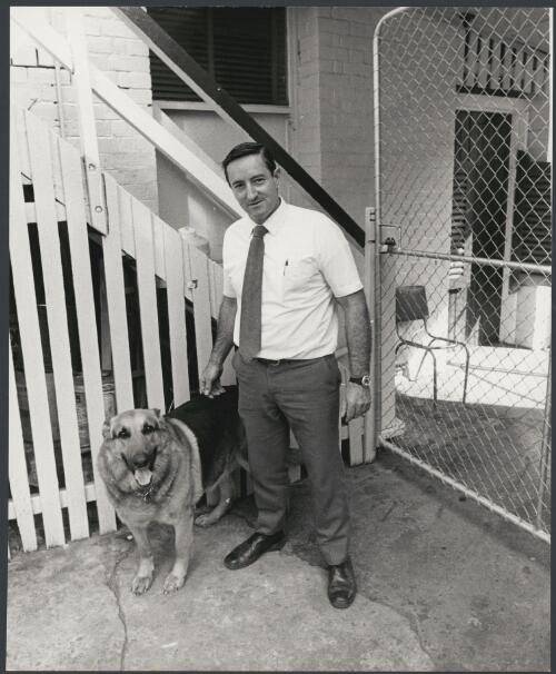 The publican, Bill Hughes and his dog, Bobo, at the Hotel Adelaide, Brisbane, Queensland, ca. 1972 [picture] / Bruce Howard