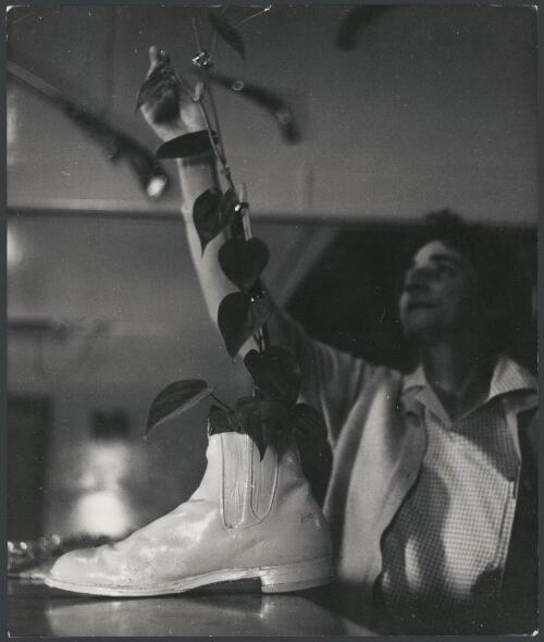 Boot on the bar in the pub North Bourke, New South Wales, ca. 1972 [picture] / Bruce Howard