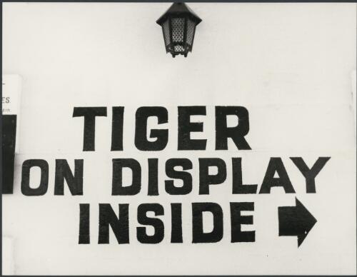 Sign outside the Tiger Hotel, Tantanoola, South Australia, ca. 1972 [picture] / Bruce Howard
