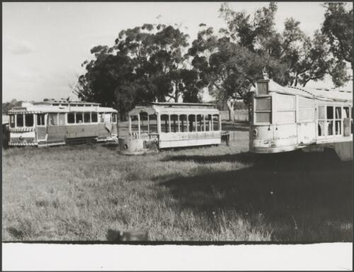 Old tramcars in a tram museum, Perth, Western Australia, ca. 1976, 2 [picture]
