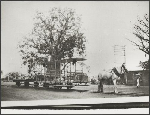 Empty horse tram with trailer in Broome, Western Australia, 1920 [picture]