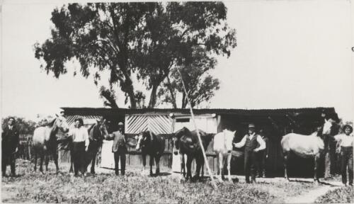 Men and horses in front of stables near Albury, New South Wales, 1924 [picture] / Dennis Brabazon