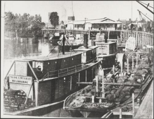 Paddle steamers, including the Pride of the Murray and Colonel, and barges being loaded with wheat or wool at the wharf, Echuca, Victoria, 1924 [picture] / Dennis Brabazon