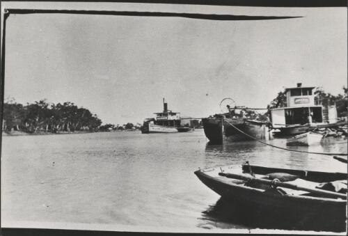 Paddle steamers, including the Mannum, on the Murray River near Murray Bridge, South Australia, 1924 [picture] / Dennis Brabazon