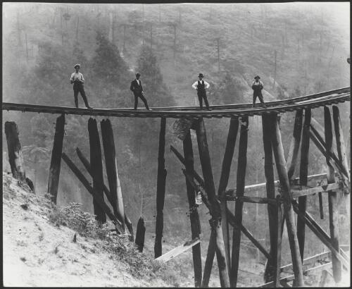 Four men standing on the charred remnants of the trestle railway bridge after the bushfires, Noojee, Victoria, 13 January 1939 [picture]