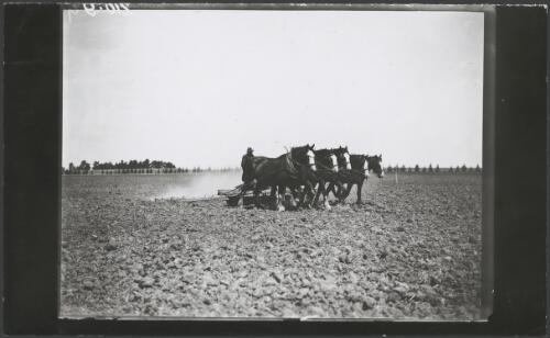 Ploughing with horses in the Wimmera, Northern Victoria, ca. 1925 [picture]