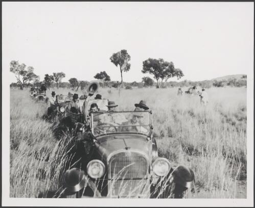 Convoy of motor cars driving through grassland in central Australia, ca. 1925 [picture]