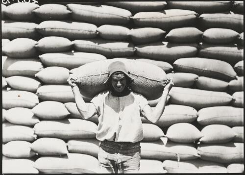 Man poses with a bag of wheat on his shoulders in front of stacked bags of wheat at the railway siding, Sheep Hills, Victoria, ca. 1928 [picture]