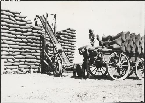 Men use motorised equipment to help them stack bags of wheat at the railway siding, Sheep Hills, Victoria, ca. 1928 [picture]