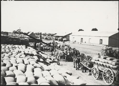 Bags of wheat are brought by horse-drawn cart to be stacked at the railway siding, Sheep Hills, Victoria, ca. 1928 [picture]
