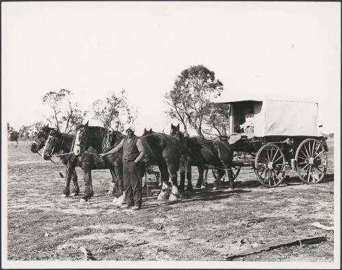 Indian hawker with his team of horses and wagon near Pinnaroo, South Australia, ca. 1925 [picture]
