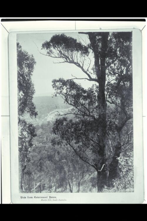 View from Government House, Marble Hill, South Australia [picture] / McGann