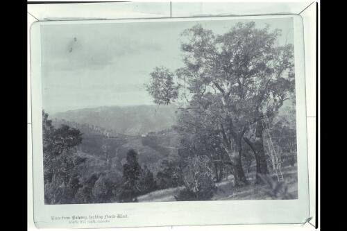 View from balcony, looking north-west, Marble Hill, South Australia [picture] / McGann