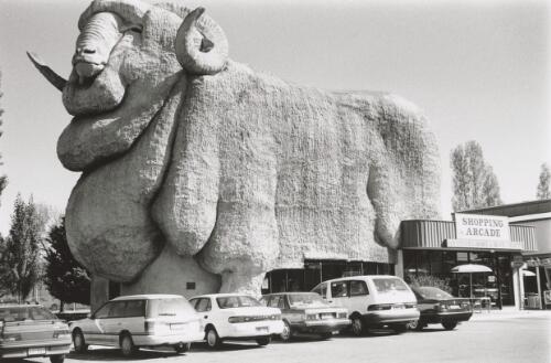 Big Merino, Goulburn, New South Wales, 1994 [picture] / Joyce Evans