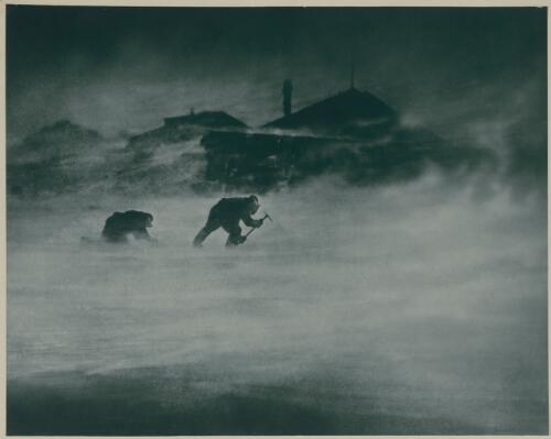 A blizzard [Antarctica] [picture] / [Frank Hurley]