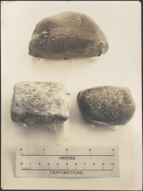 [Three geological rock samples, Australasian Antarctic Expedition, 1911-1914] [picture]
