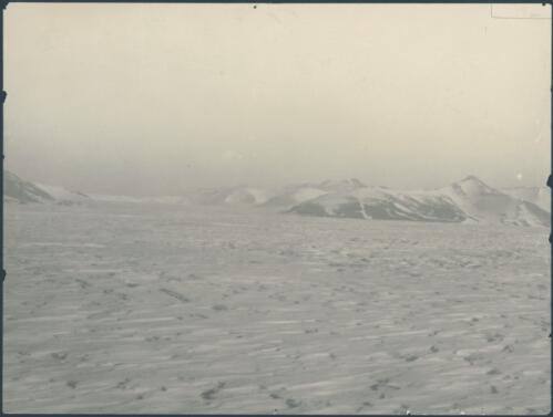 Beardmore Glacier panorama, [British Antarctic Expedition, 1907-1909] [picture]