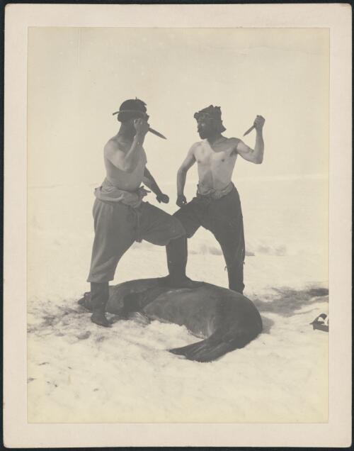 [Frank Wild, Leader, and Morton Henry Moyes, Meteorologist, Western Base Party, standing with knife over a Weddell seal, Australasian Antarctic Expedition, 1911-1914] [picture] / Frank Wild