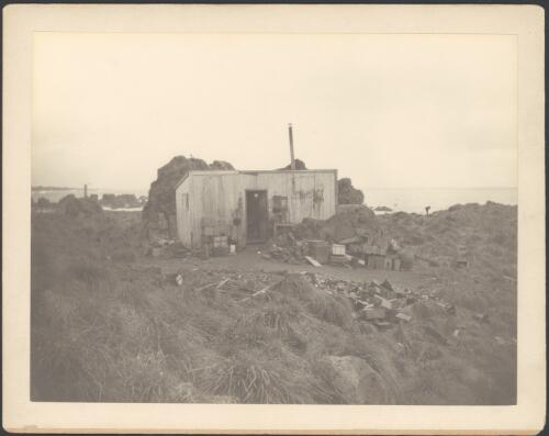 [Exterior view of a hut, Macquarie Island, Australasian Antarctic Expedition, 1911-1914] [picture] / Charles Sandell