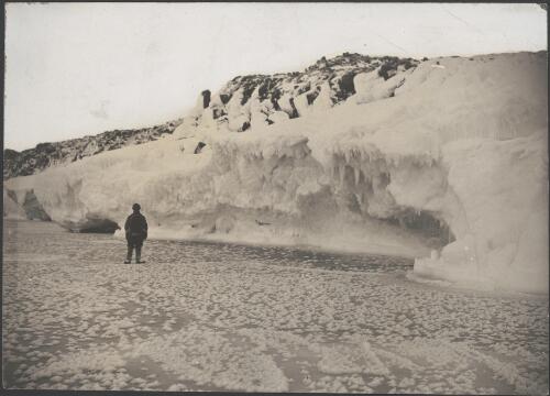 Sea ice with ice flowers, Armytage, [British Antarctic Expedition, 1907-1909] [picture]