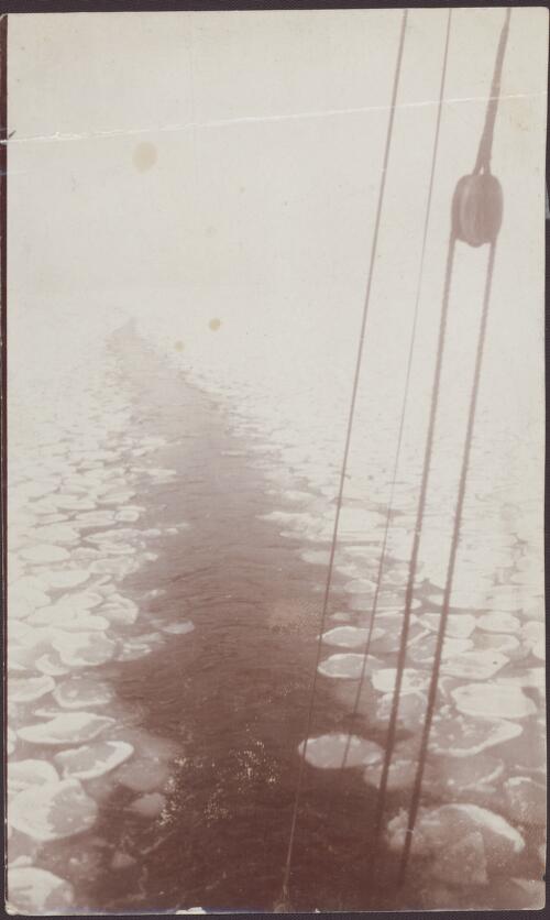 [View of floating ice from the Aurora, Australasian Antarctic Expedition, 1911-1914] [picture]
