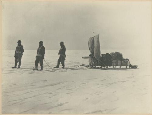 Stillwell's party travelling north after leaving Madigan Nunatak, [Australasian Antarctic Expedition, 1911-1914] [picture] / Laseron