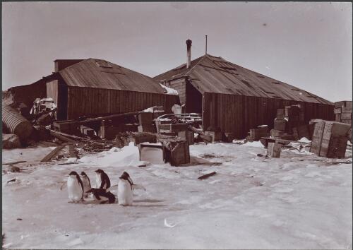 [Main Base hut at Cape Denison, Australasian Antarctic Expedition, 1911-1914] [picture] / Hurley