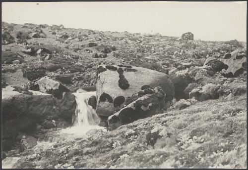 [A large erratic boulder of gabbro rock on the summit of Q.M.Id encrusted with moss, Macquarie Island, Australasian Antarctic Expedition, 1911-1914] [picture]/ Blake