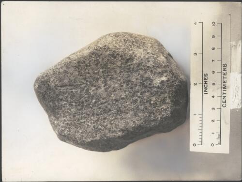 [Geological sample of a rock with small pits, Australasian Antarctic Expedition, 1911-1914] [picture]