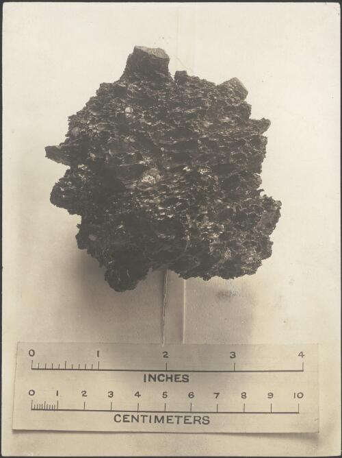 [A dark pitted geological sample of rock, Australasian Antarctic Expedition, 1911-1914] [picture]