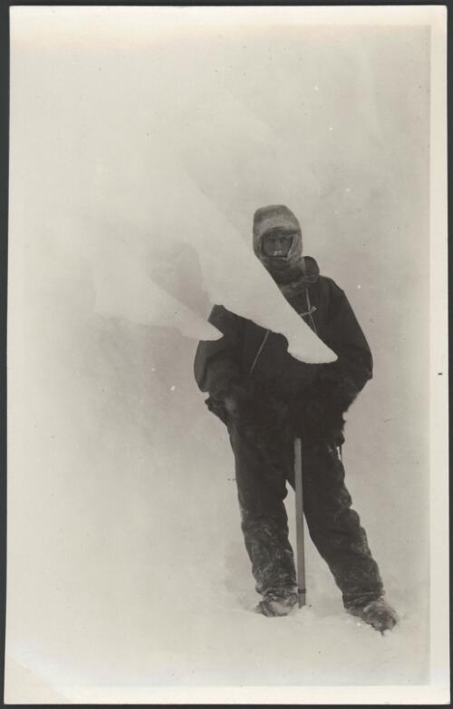 Snow stalactites, lea of Shac [i.e. Shackleton?] shelf, [Australasian Antarctic Expedition, 1911-1914] [picture] / [Andrew D. Watson]