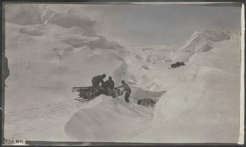 [Guiding sledge over a gully, Australasian Antarctic Expedition, 1911-1914] [picture] / [Andrew D. Watson]