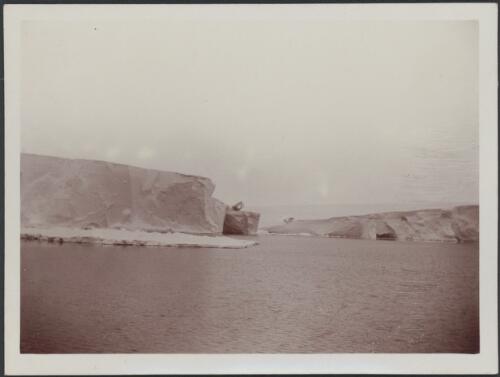Small inlet in Ross Barrier east of the Bay of Whales, the ice cliff at this inlet comes down to within 20 feet of the level of the sea, [British Antarctic Expedition, 1907-1909] [picture]