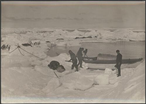 [Four members of the group with a canoe and penguins in the background, Australasian Antarctic Expedition, 1911-1914] [picture] / Hurley