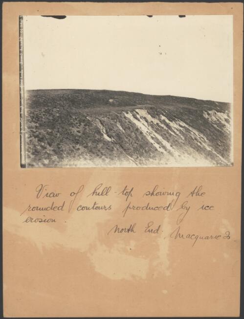 View of hill-top showing the rounded contours produced by ice erosion, north end, Macquarie Island, [Australasian Antarctic Expedition, 1911-1914] [picture]/ Blake