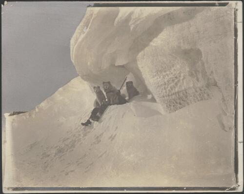[A member of the group and three dogs sitting on a ledge in the snow, Australasian Antarctic Expedition, 1911-1914] [picture]