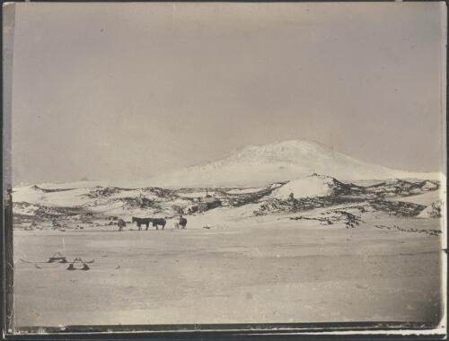 Lakes, Pony Lake, [British Antarctic Expedition, 1907-1909] [picture]