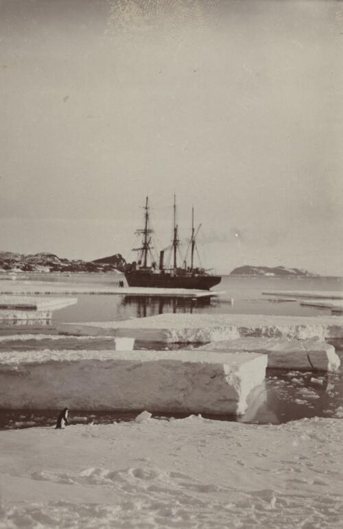 [The Nimrod docking next to sea ice, British Antarctic Expedition, 1907-1909] [picture]
