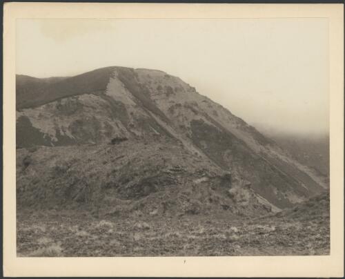 [View of the mountainous landscape, Macquarie Island, Australasian Antarctic Expedition, 1911-1914, 1] [picture] Correll