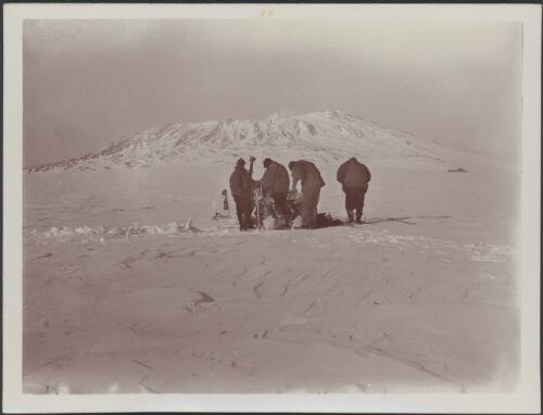 [Four members of the expedition around a sledge, British Antarctic Expedition, 1907-1909] [picture]