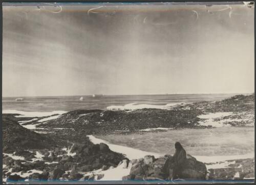 [Unidentified member of the expedition sitting on a rock looking out to sea, Australasian Antarctic Expedition, 1911-1914] [picture]