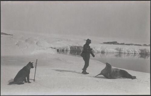 [A member of the expedition and a dog near a large seal] [picture] / [John Hunter]