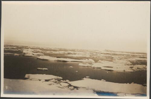 [Loose pack ice with basking seal, Australasian Antarctic Expedition, 1911-1914] [picture] / Hunter