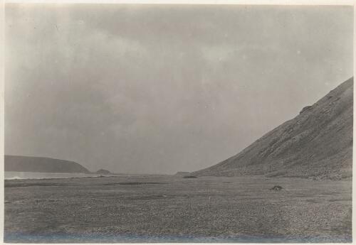 [Landscape view of  Macquarie Island?, Australasian Antarctic Expedition, 1911-1914] [picture] / Blake