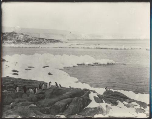 Entrance to boat harbour, Cape Denison,  [Australasian Antarctic Expedition 1911-1914 ] [picture] / Mertz