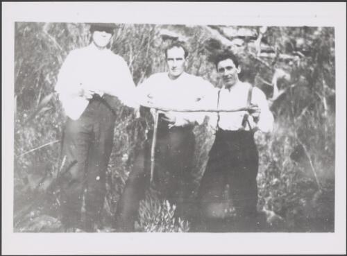 Albert Dryer, Andrew Organ and William McGuiness holding a death adder, Sydney, 1920