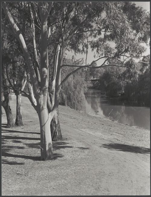 View of Narrabri Creek from bridge - Newell Highway [picture] / photograph by Fiona MacDonald Brand