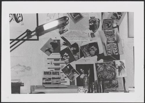 Robert Adamson's desk, tigers and feathers, 1992 [picture] / Juno Gemes
