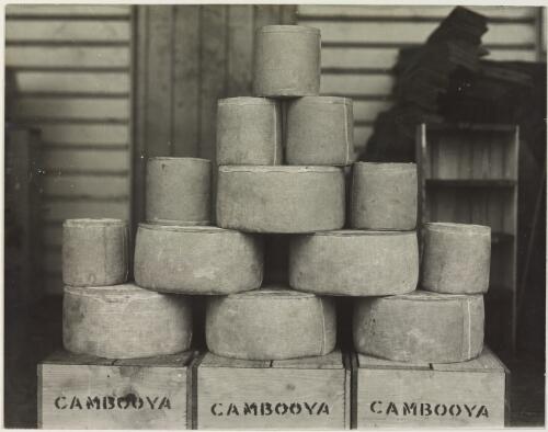 Packed cheese wheels at factory, Cambooya, Queensland, ca. 1915 [picture]