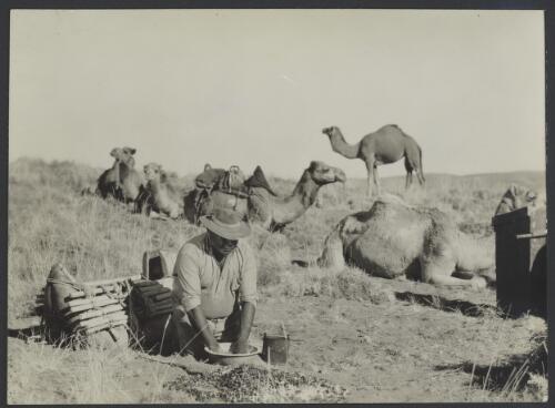 [Albert Namatjira with camels in background] [picture]
